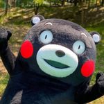 灰太狼大王殿下