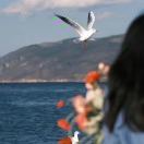 情绪不稳定女孩