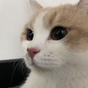 珊珊的外星球