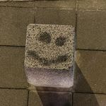 六一在探索