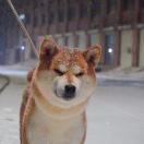 大全Bbburt