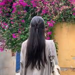 狐狸不需要冬眠