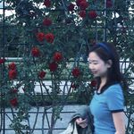 鱼伊婷