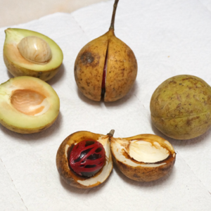 漂榴阅读随笔-1-改变历史的香料商人