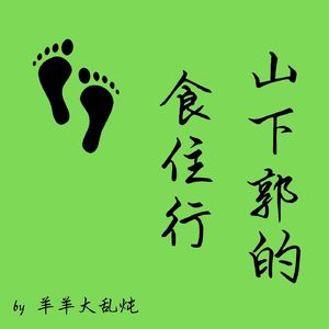 放杨第119期：成都南门商业邂逅（上）