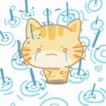 哈吉mimi