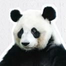 嘻嘻哈哈_Kg8u