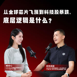 EP8 | 从全球芯片飞涨到科技股暴跌，底层逻辑是什么？