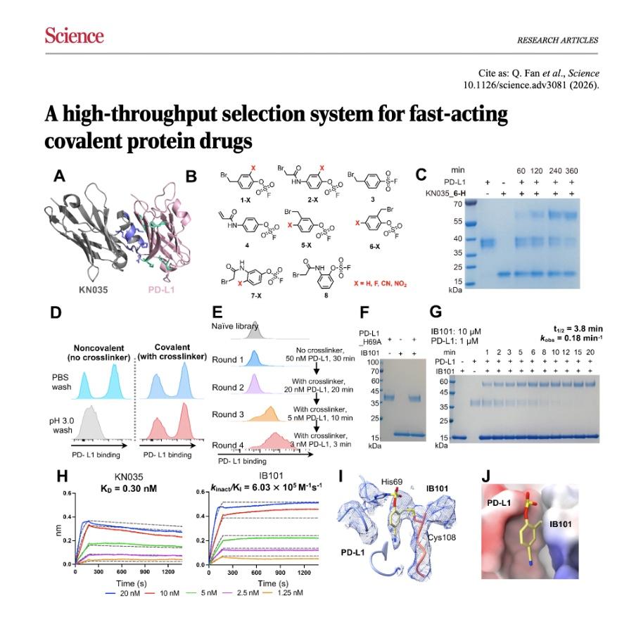 1060-High-Throughput Selection of Fast-Acting Protein Drugs episode artwork