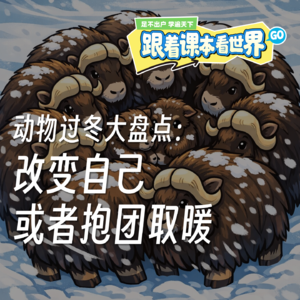 新知剧团秀｜动物过冬大盘点：改变自己或者抱团取暖 - 2025/12 第三周