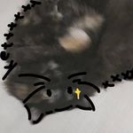 放生一颗星星