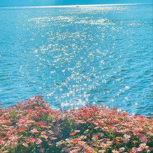 理科生的学习焦虑