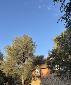 59. 美国营地生存日记之第一周就被小孩逼疯