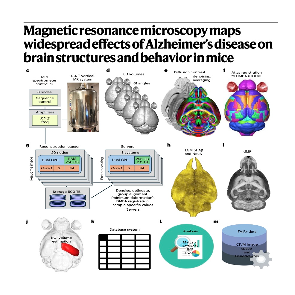 874-Neuroanatomical and Behavioral Mapping of Alzheimer episode artwork