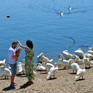 05、2023年终特辑|保持勇敢,像竹子一样向下扎根、向上疯长