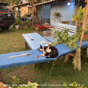 Vol.60 Take a break 休息，休息一下