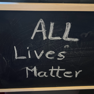 006|从波黑的春天,到迪拜的轰鸣:能静看一树花开,是莫大的幸运