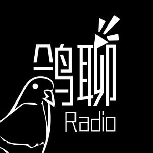 鸽聊·Radio
