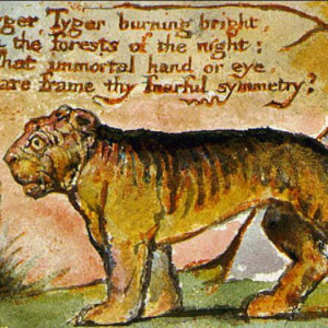 EP11 英美文学选读 威廉 布莱克 猛虎 William Blake Tiger 18世纪英国文学