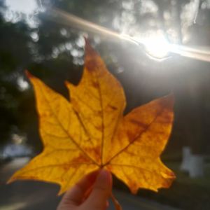 podcaster-avatar