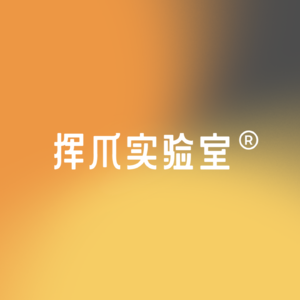 挥爪实验室