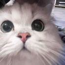 特别稳定的传送门