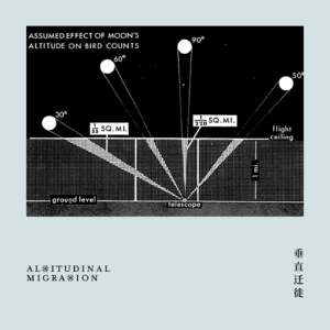 随便聊点鸟｜亲眼目睹小鸟迁徙于黑夜