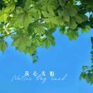 温w_XPDv