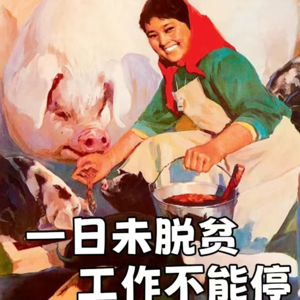 VOL10:工位困不住的灵魂，和生活需要续费的我们