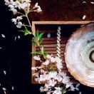美丽大渡河
