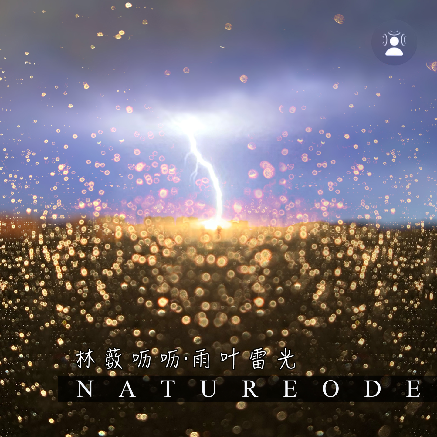 林薮呖呖·雨叶雷光 episode artwork