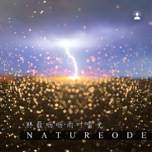 林薮呖呖·雨叶雷光