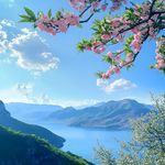 每天幸福的冒泡泡