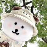 思维模型教练