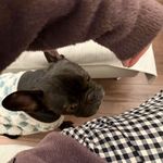 宣萱也就是香香