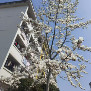 第六期：对话学姐，交流AI时代学习的意义