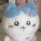 声音没有如果
