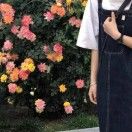 平平无奇幻想家