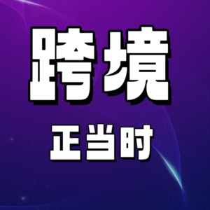 跨境电商生存指南：从零开始的创业之路