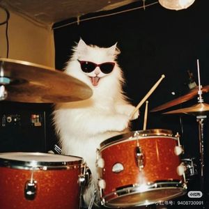 小鱼Cat