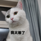 喵叽_heca