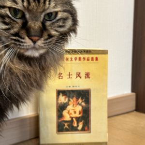 E22《名士风流》（二）：在是非不再分明的世界，寻觅自我存在的确认