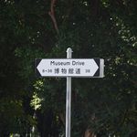 你说我叫Siri吗