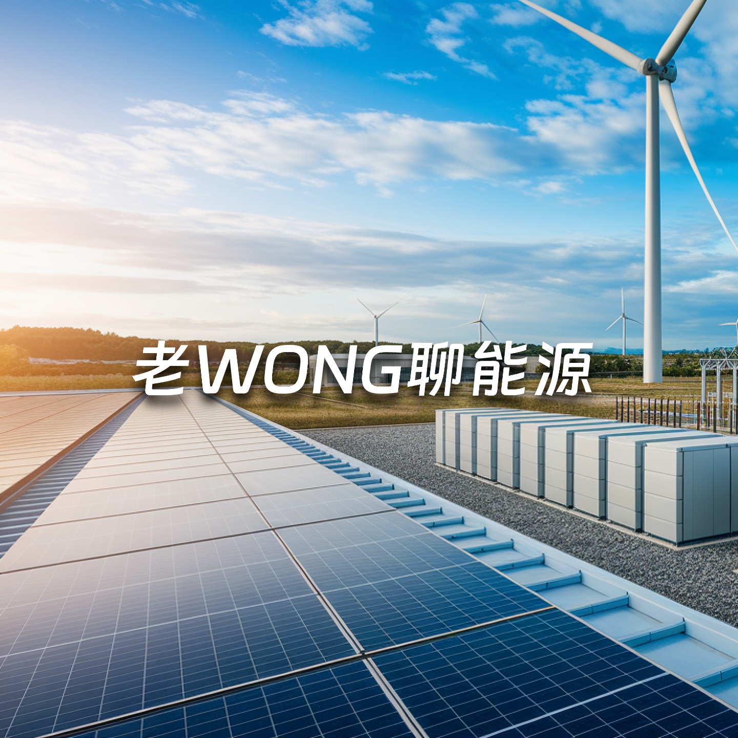 老WONG聊能源
