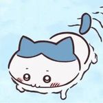 神奇小鲸