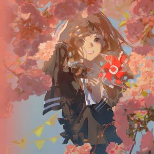 新海楓