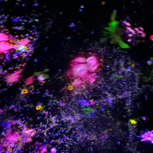 EP30: 中女的一个反差：我最不满意的地方，竟然是别人最羡慕的｜听友故事会 ☕️