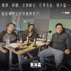 vol.575 珊瑚、砗磲、圣诞树虫、巨骨舌鱼，锤头鲨…海底神奇宝贝收集师来了！｜浮世绘