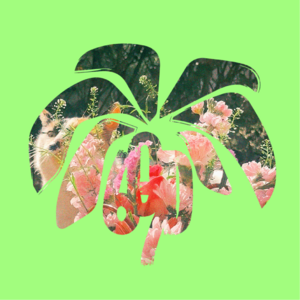 +EP48+「现在，只想听歌 vol.8」