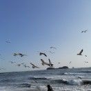 梦想成真_KDKk